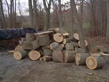 [Hearth.com] I love the smell of Oak in the morning