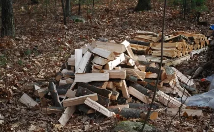 [Hearth.com] Cleared some land to let more sun in and ended up with 1.5 cord!