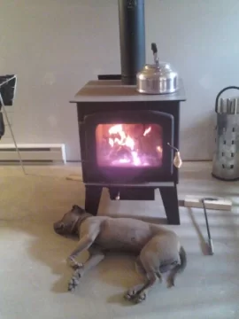 [Hearth.com] My dog LOVE the wood stove