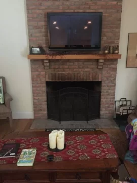 [Hearth.com] insert inside fireplace or freestanding