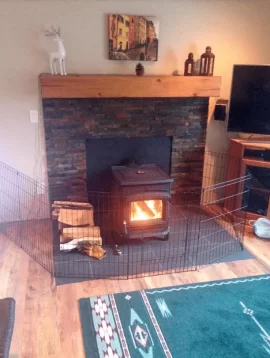 [Hearth.com] insert inside fireplace or freestanding