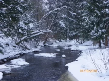 [Hearth.com] The Brook