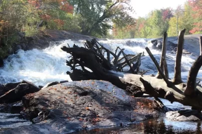 [Hearth.com] Lampson Falls