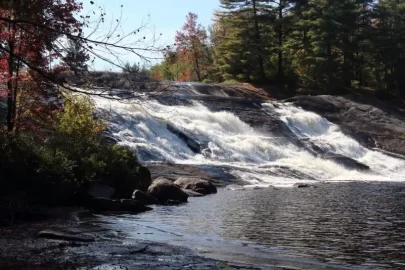 [Hearth.com] Lampson Falls