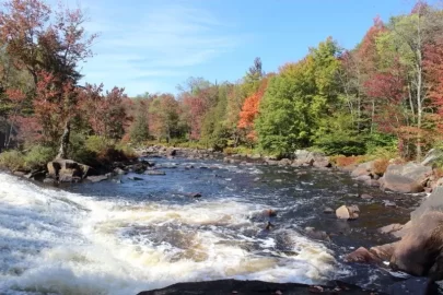 [Hearth.com] Lampson Falls