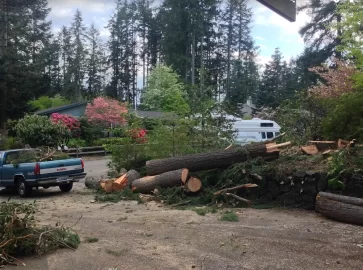 [Hearth.com] Woodstove fire in high wind weather