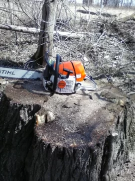 [Hearth.com] sold walnut trees