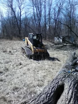 [Hearth.com] sold walnut trees