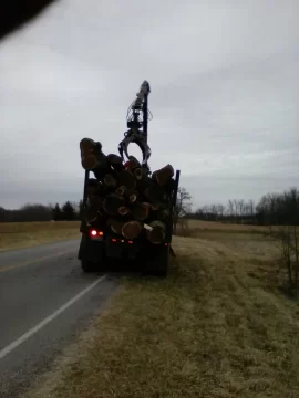 [Hearth.com] sold walnut trees