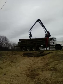 [Hearth.com] sold walnut trees