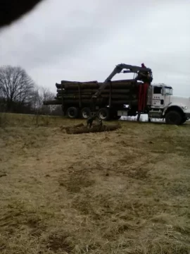 [Hearth.com] sold walnut trees