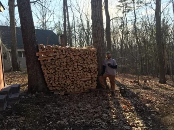 [Hearth.com] Today's Scrounge--post the free btu's