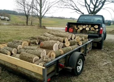 [Hearth.com] I take it this is the dreaded elm...