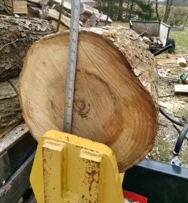 [Hearth.com] I take it this is the dreaded elm...