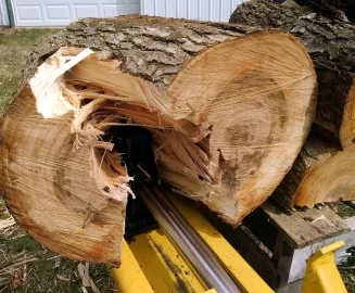 [Hearth.com] I take it this is the dreaded elm...