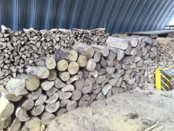 [Hearth.com] I take it this is the dreaded elm...