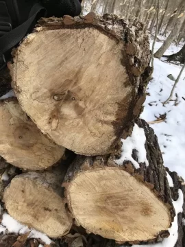 [Hearth.com] Wood ID Red Maple?