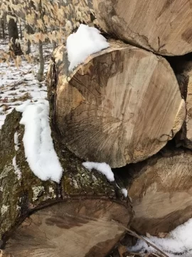 [Hearth.com] Wood ID Red Maple?