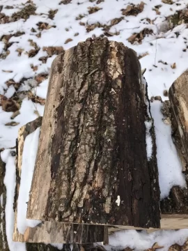 [Hearth.com] Wood ID Red Maple?