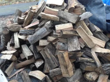 [Hearth.com] Getting wood dry enough for next season