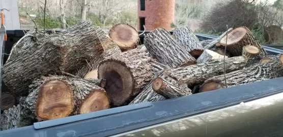 [Hearth.com] Today's Scrounge--post the free btu's