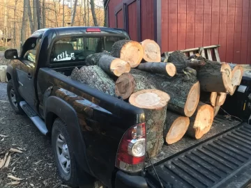 [Hearth.com] Today's Scrounge--post the free btu's