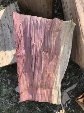 [Hearth.com] Wood ID - Purple