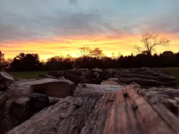 [Hearth.com] Sunset over the woodpile