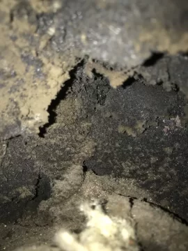 [Hearth.com] Creosote in damper area