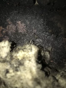 [Hearth.com] Creosote in damper area