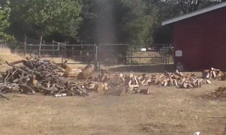 [Hearth.com] Drying Oak