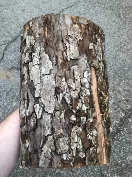 [Hearth.com] Oak? Need Help Identifying Wood Type