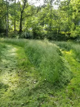 [Hearth.com] Mowed Over Gasoline Mower