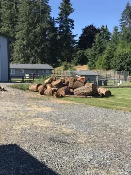 [Hearth.com] Highbeam's 10 cord woodshed