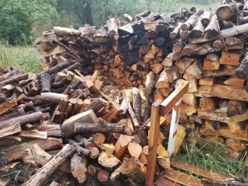 [Hearth.com] Stack Attack- Wood pile collapse