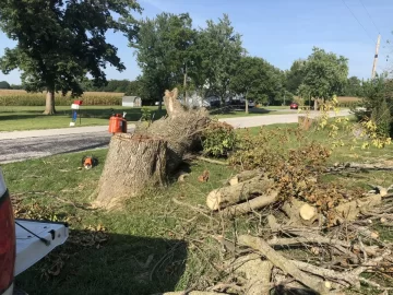 [Hearth.com] Today's Scrounge--post the free btu's