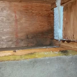 [Hearth.com] Poindexter versus damp subarctic crawlspace