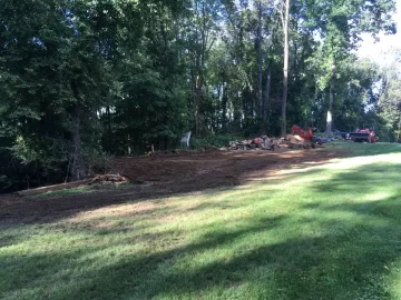 [Hearth.com] Tree cut down, triggers tons of work