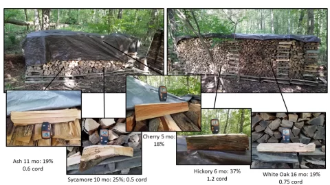 [Hearth.com] Fall check in for first burning season