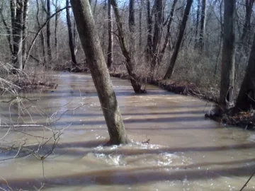 [Hearth.com] Stacking wood near a creek