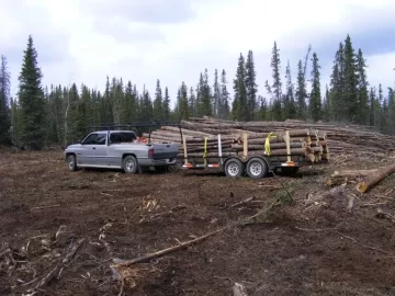 [Hearth.com] Wood Hauling Truck