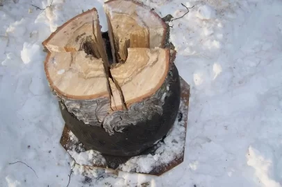 [Hearth.com] More birch split, stacked & drying