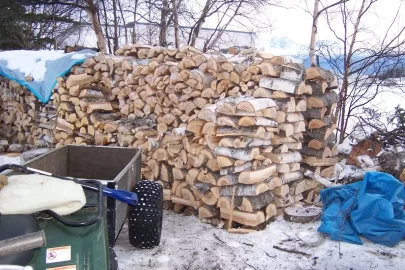 [Hearth.com] More birch split, stacked & drying