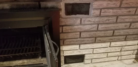 [Hearth.com] Want to use fireplace for the first time