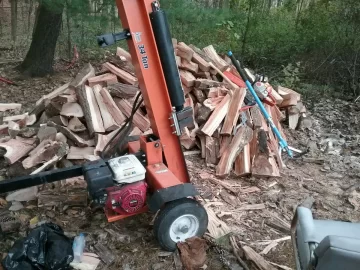 [Hearth.com] Starburst thornless honey locust.