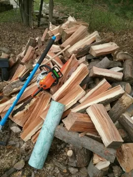 [Hearth.com] Starburst thornless honey locust.