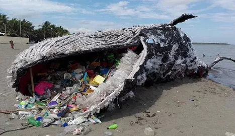 [Hearth.com] Killing our planet with plastics