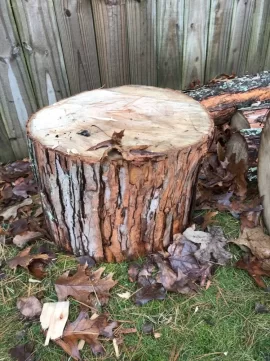 [Hearth.com] Wood ID? Maple?