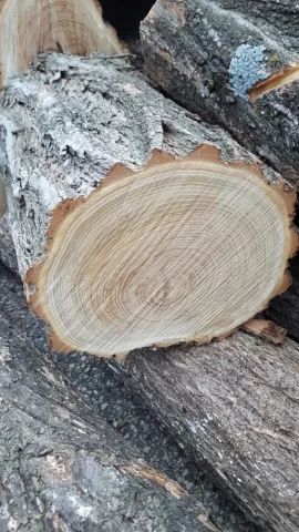 [Hearth.com] Help Identifying Yellowish Stringy Wood