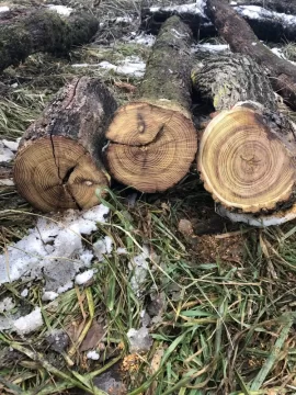 [Hearth.com] Help Identifying Yellowish Stringy Wood